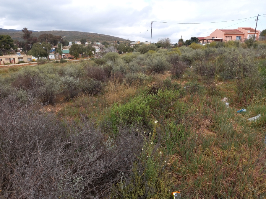 0 Bedroom Property for Sale in Uniondale Western Cape